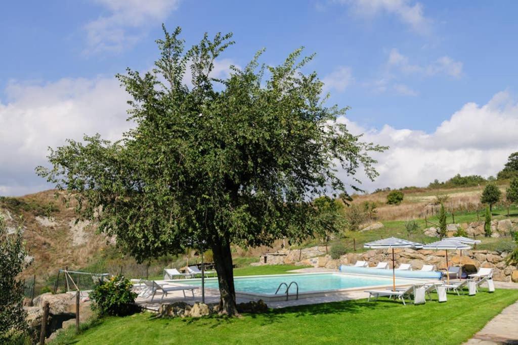 Girasole Cottage Overlooking The Orcia Valley In Tuscany Radicofani Exterior foto